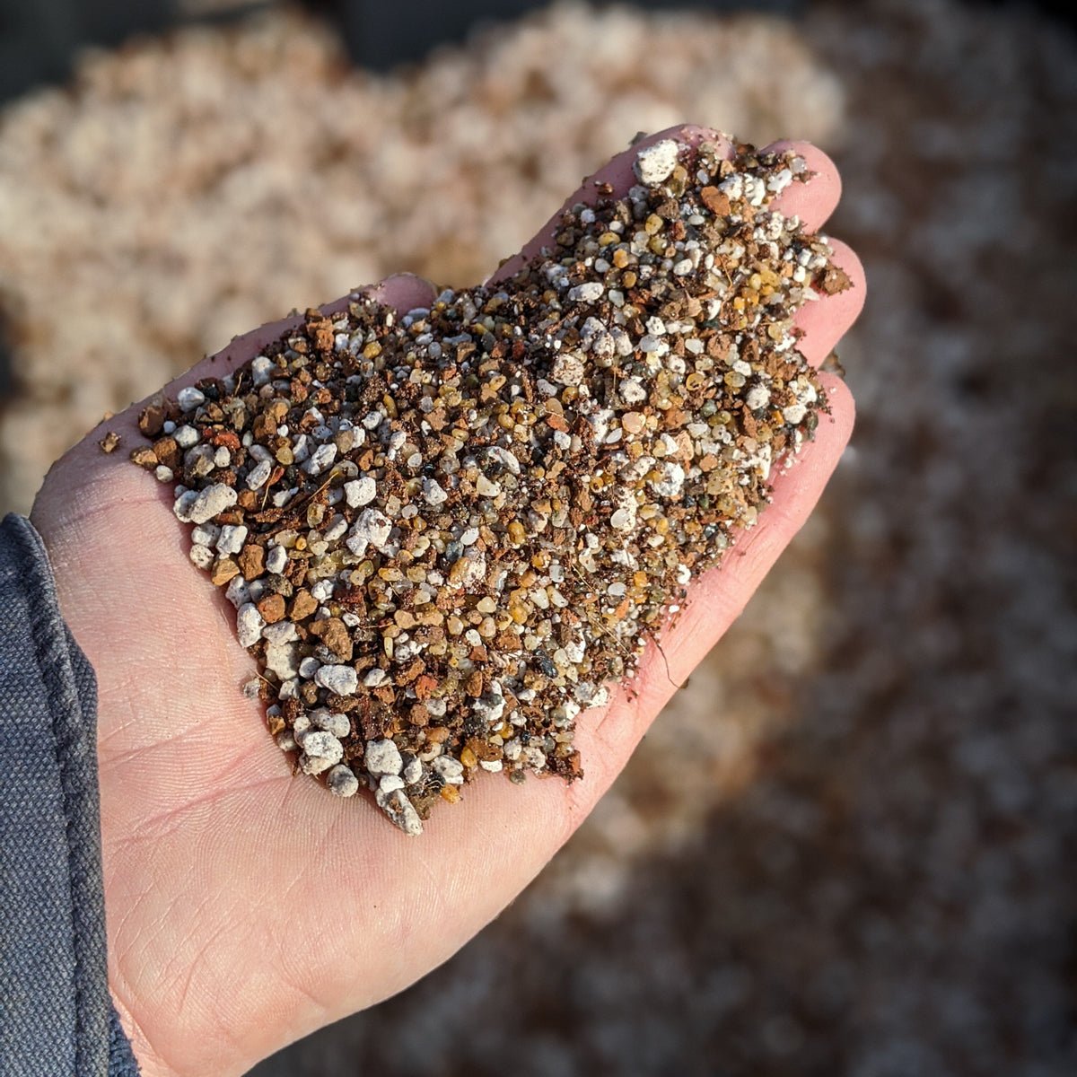 Make Your Own Succulent Soil - Vivid Root